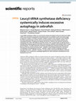 Research paper thumbnail of Leucyl-tRNA synthetase deficiency systemically induces excessive autophagy in zebrafish