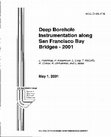 Research paper thumbnail of Deep Borehole Instrumentation Along San Francisco Bay Bridges - 2001