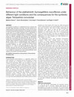 Research paper thumbnail of Behaviour of the plathelminth Symsagittifera roscoffensis under different light conditions and the consequences on the symbiotic algae Tetraselmis convolutae