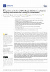 Research paper thumbnail of Perspective on the Use of DNA Repair Inhibitors as a Tool for Imaging and Radionuclide Therapy of Glioblastoma