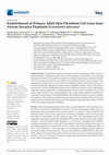 Research paper thumbnail of Establishment of Primary Adult Skin Fibroblast Cell Lines from African Savanna Elephants (Loxodonta africana)