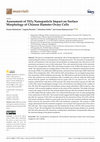 Research paper thumbnail of Assessment of TiO2 Nanoparticle Impact on Surface Morphology of Chinese Hamster Ovary Cells