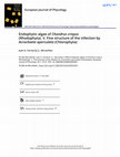 Research paper thumbnail of Endophytic algae ofChondrus crispus(Rhodophyta). V. Fine structure of the infection byAcrochaete operculata(Chlorophyta)