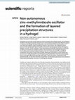 Research paper thumbnail of Non-autonomous zinc–methylimidazole oscillator and the formation of layered precipitation structures in a hydrogel