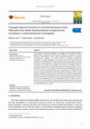 Research paper thumbnail of Conjugate Natural Convection in a Partitioned Square Cavity Filled with Al 2 O 3-Water Nanofluid Based on Experimental Correlations : a Lattice Boltzmann investigation