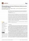 Research paper thumbnail of Reaction Pathways of Gamma-Valerolactone Hydroconversion over Co/SiO2 Catalyst