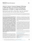 Research paper thumbnail of AAVrh10 Vector Corrects Disease Pathology in MPS IIIA Mice and Achieves Widespread Distribution of SGSH in Large Animal Brains