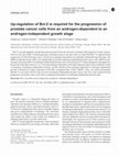 Research paper thumbnail of Up-regulation of Bcl-2 is required for the progression of prostate cancer cells from an androgen-dependent to an androgen-independent growth stage