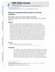 Research paper thumbnail of Detection of pro-apoptotic Bax∆2 proteins in the human cerebellum