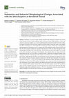 Research paper thumbnail of Submarine and Subaerial Morphological Changes Associated with the 2014 Eruption at Stromboli Island