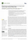 Research paper thumbnail of Coastal Erosion and Flooding Threaten Low-Lying Coastal Tracts at Lipari (Aeolian Islands, Italy)