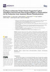 Research paper thumbnail of Synthesis of Ilmenite Nickel Titanite-Supported Carbon Nanofibers Derived from Polyvinylpyrrolidone as Photocatalyst for H2 Production from Ammonia Borane Photohydrolysis