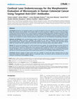 Research paper thumbnail of Confocal Laser Endomicroscopy for the Morphometric Evaluation of Microvessels in Human Colorectal Cancer Using Targeted Anti-CD31 Antibodies