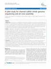 Research paper thumbnail of A pilot study for channel catfish whole genome sequencing and de novo assembly