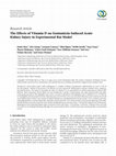 Research paper thumbnail of The Effects of Vitamin D on Gentamicin-Induced Acute Kidney Injury in Experimental Rat Model