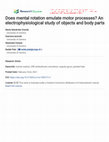 Research paper thumbnail of Does mental rotation emulate motor processes? An electrophysiological study of objects and body parts