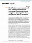 Research paper thumbnail of Identification of genes associated with altered gene expression and m6A profiles during hypoxia using tensor decomposition based unsupervised feature extraction