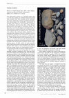 Research paper thumbnail of Nishiaki, Y. (2022) Book Review: Lithic Studies: Anatolia and Beyond. Neo-Lithics 22: A8–A10.