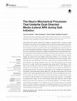 Research paper thumbnail of The Neuro-Mechanical Processes That Underlie Goal-Directed Medio-Lateral APA during Gait Initiation