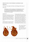 Research paper thumbnail of Oribatid mites in the Flevopark in Amsterdam (Acari: Oribatida)