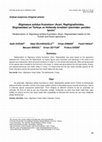 Research paper thumbnail of Stigmaeus solidus Kuznetsov (Acari, Raphignathoidea, Stigmaeidae)’un Türkiye ve Hollanda örnekleri üzerinden yeniden tanımı