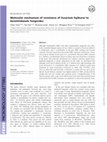 Research paper thumbnail of Molecular mechanism of resistance ofFusarium fujikuroito benzimidazole fungicides