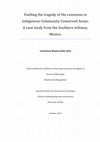 Research paper thumbnail of Fuelling the tragedy of the commons in Indigenous Community Conserved Areas : a case study from the Southern Isthmus, Mexico