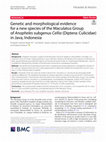 Research paper thumbnail of Genetic and morphological evidence for a new species of the Maculatus Group of Anopheles subgenus Cellia (Diptera: Culicidae) in Java, Indonesia