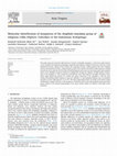 Research paper thumbnail of Molecular identification of mosquitoes of the Anopheles maculatus group of subgenus Cellia (Diptera: Culicidae) in the Indonesian Archipelago