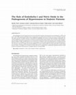 Research paper thumbnail of The Role of Endothelin-1 and Nitric Oxide in the Pathogenesis of Hypertension in Diabetic Patients