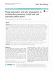 Research paper thumbnail of Phage adsorption and lytic propagation in Lactobacillus plantarum: Could host cell starvation affect them?