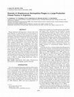 Research paper thumbnail of Diversity of Streptococcus thermophilus phages in a large-production cheese factory in Argentina