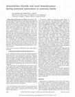 Research paper thumbnail of Acetylcholine chloride and renal hemodynamics during postnatal maturation in conscious lambs