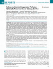 Research paper thumbnail of Subnormothermic Oxygenated Perfusion Optimally Preserves Donor Kidneys Ex Vivo