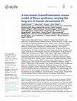 Research paper thumbnail of Author response: A non-mosaic transchromosomic mouse model of Down syndrome carrying the long arm of human chromosome 21