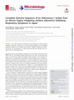 Research paper thumbnail of Complete Genome Sequence of an Adenovirus-1 Isolate from an African Pygmy Hedgehog ( Atelerix albiventris ) Exhibiting Respiratory Symptoms in Japan