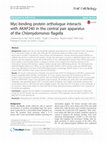 Research paper thumbnail of Myc-binding protein orthologue interacts with AKAP240 in the central pair apparatus of the Chlamydomonas flagella