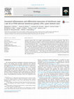 Research paper thumbnail of Sustained inflammation and differential expression of interferons type I and III in PVM-infected interferon-gamma (IFN γ ) gene-deleted mice