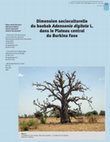 Research paper thumbnail of Dimension socioculturelle du baobab &lt;em&gt;Adansonia digitata&lt;/em&gt; L. dans le plateau central du Burkina faso