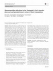 Research paper thumbnail of Haemosporidian infections in the Tengmalm’s Owl (Aegolius funereus) and potential insect vectors of their transmission