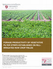 Research paper thumbnail of Forage productivity of vegetative filter strips established on rill-irrigated row crop fields