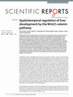 Research paper thumbnail of Spatiotemporal regulation of liver development by the Wnt/β-catenin pathway