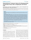 Research paper thumbnail of Dexamethasone Treatment Induces the Reprogramming of Pancreatic Acinar Cells to Hepatocytes and Ductal Cells