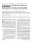 Research paper thumbnail of Endogenous Opioid Release in the Human Brain Reward System Induced by Acute Amphetamine Administration