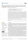 Research paper thumbnail of Morphological Differences between Virgin and Secondary Fibers