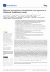 Research paper thumbnail of Epigenetic Dysregulation of Trophoblastic Gene Expression in Gestational Trophoblastic Disease