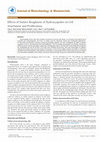 Research paper thumbnail of Effects of Surface Roughness of Hydroxyapatite on Cell Attachment and Proliferation