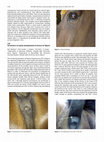 Research paper thumbnail of Persistence of equine piroplasmosis in horses in Nigeria