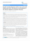 Research paper thumbnail of Growth and development of the ovary and small follicle pool from mid fetal life to pre-puberty in the African elephant (Loxodonta africana)