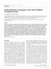 Research paper thumbnail of Luteal maintenance of pregnancy in the African elephant (Loxodonta africana)